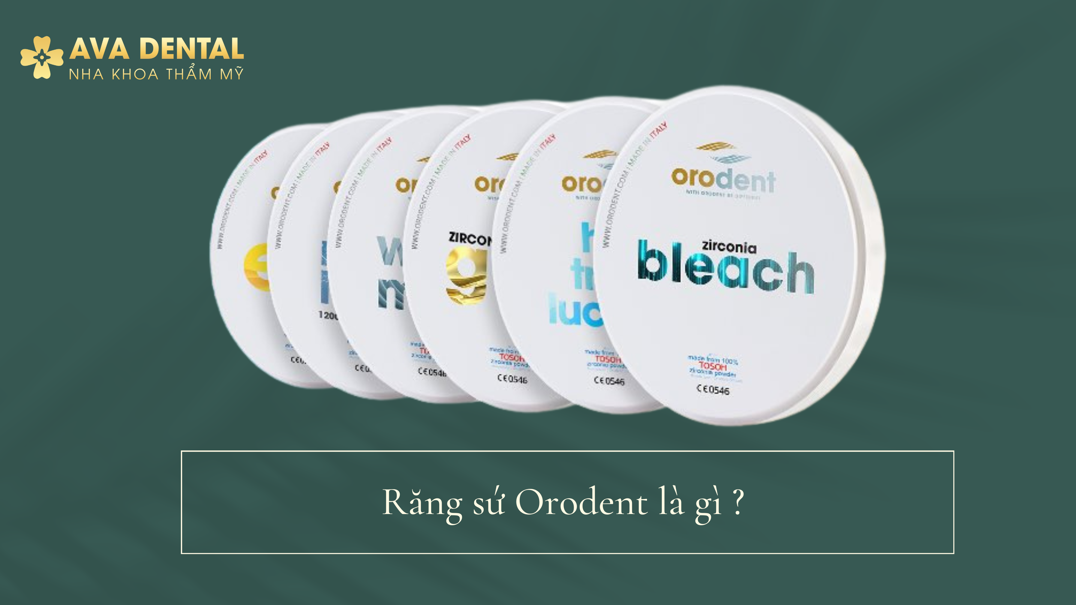 Green Organic Warm Food and Restaurant Bio Link Website 1