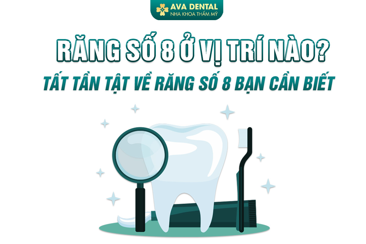 răng số 8