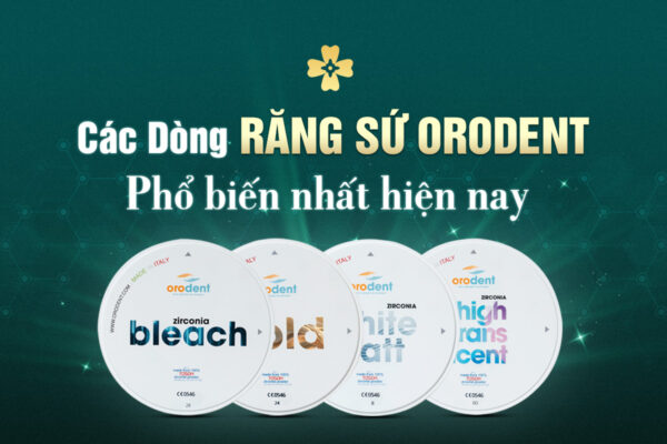 CAC DONG SU