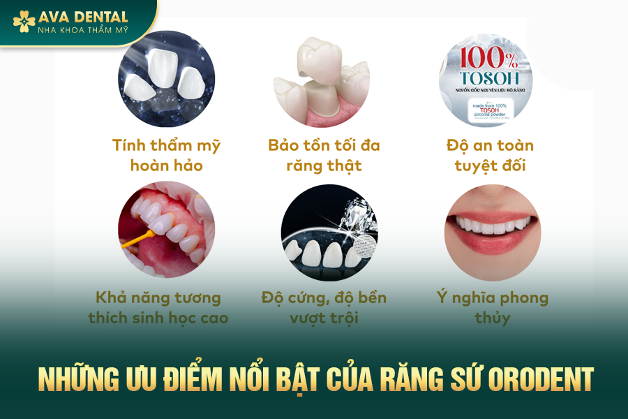 Răng Sứ Orodent Là Gì? Phân Loại Và Bảng Giá Mới Nhất 2024 24 rang su orodent 7