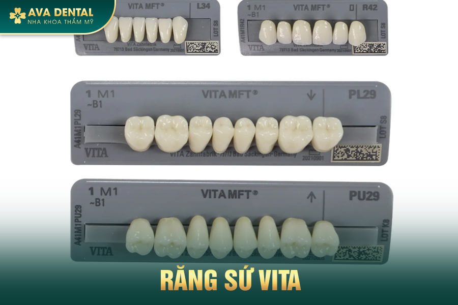 Răng Sứ Đức Là Gì? Có Tốt Không? Bảng Giá Mới Nhất 2024 20 vita